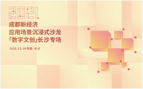 蓉湘共話數(shù)字文創(chuàng) 成都新經(jīng)濟應(yīng)用場景沉浸式沙龍落地長沙